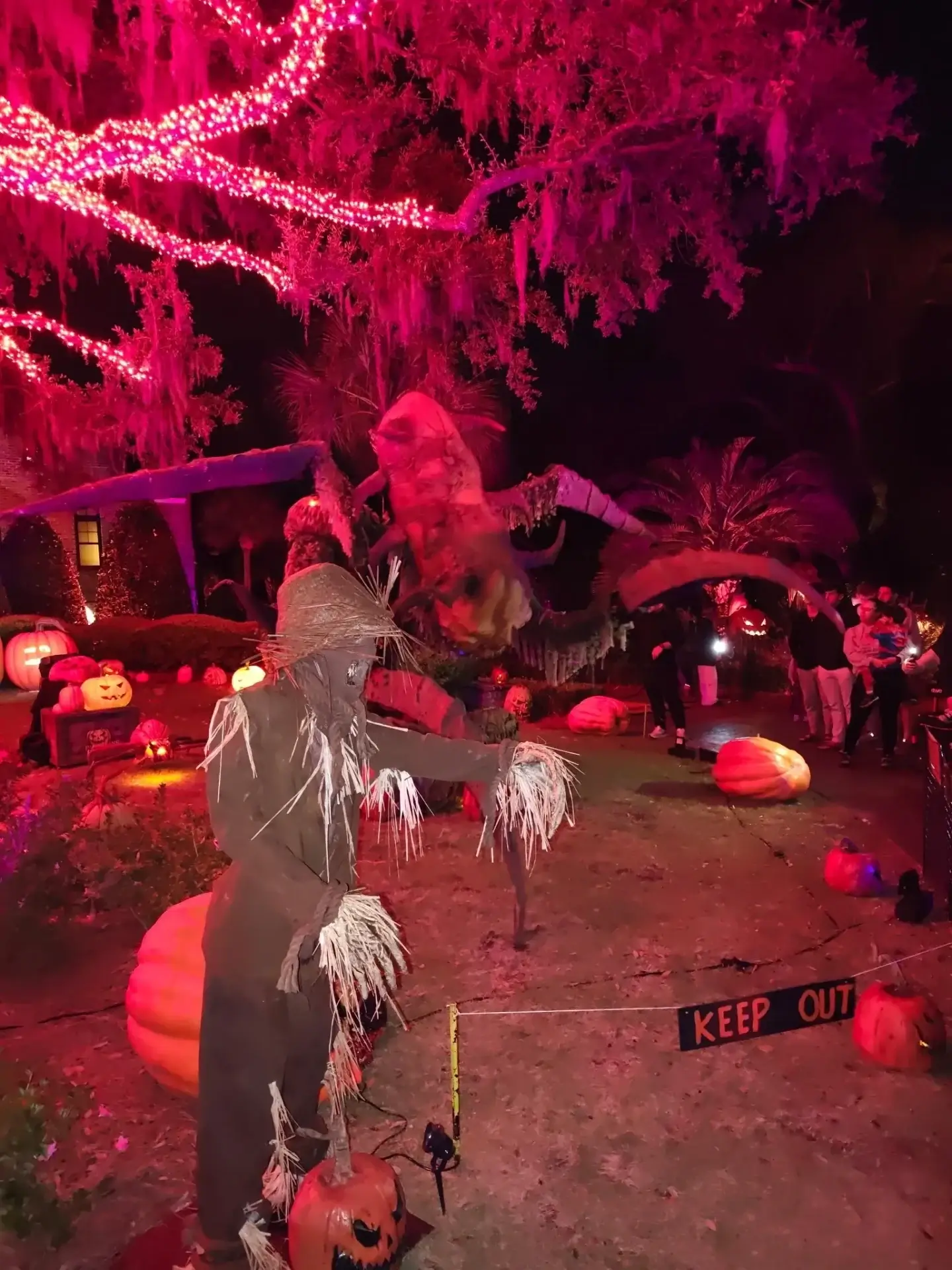 Halloween decorations with scarecrow and pumpkins illuminated.