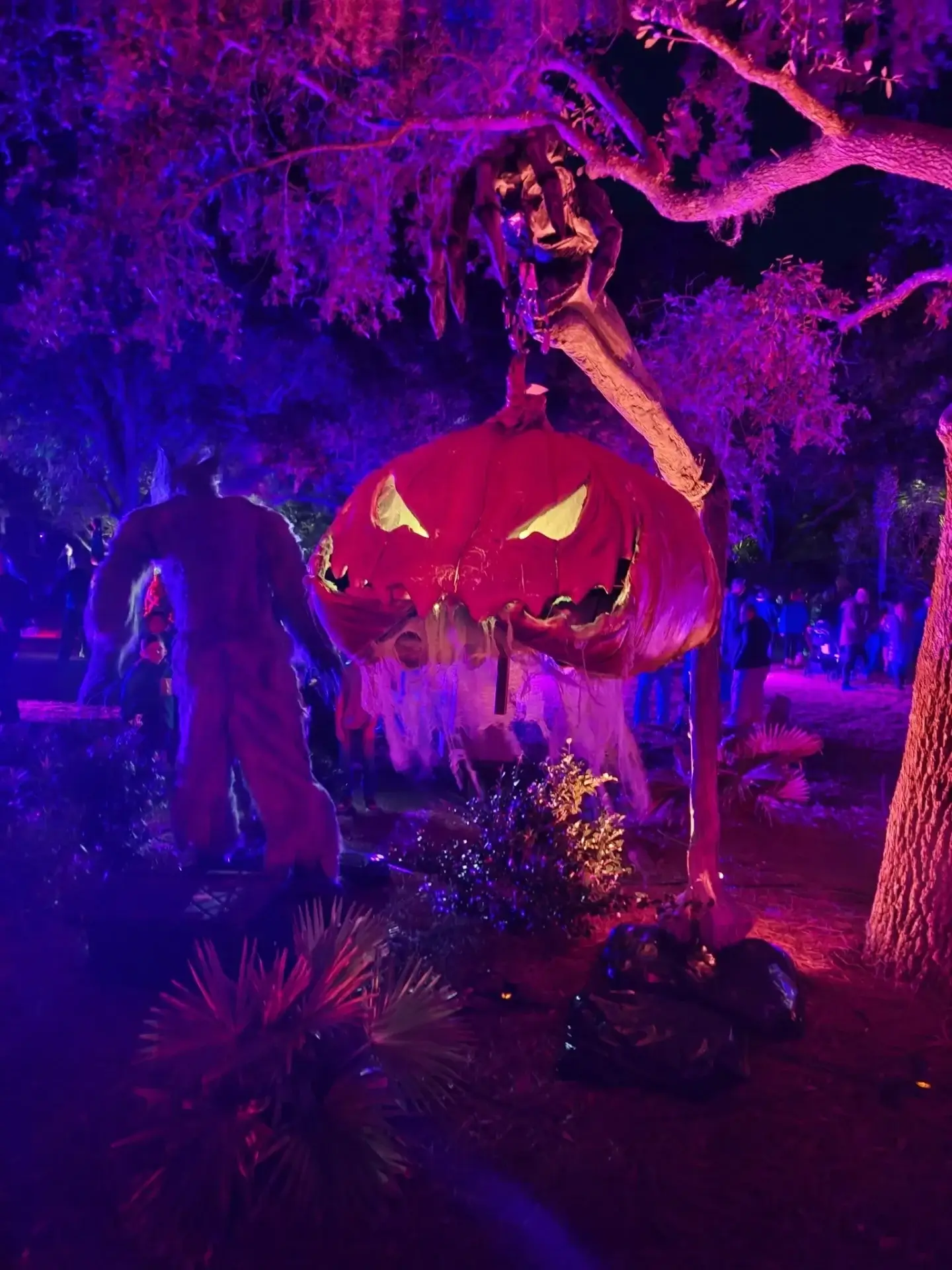 Halloween scene with giant glowing pumpkin display.